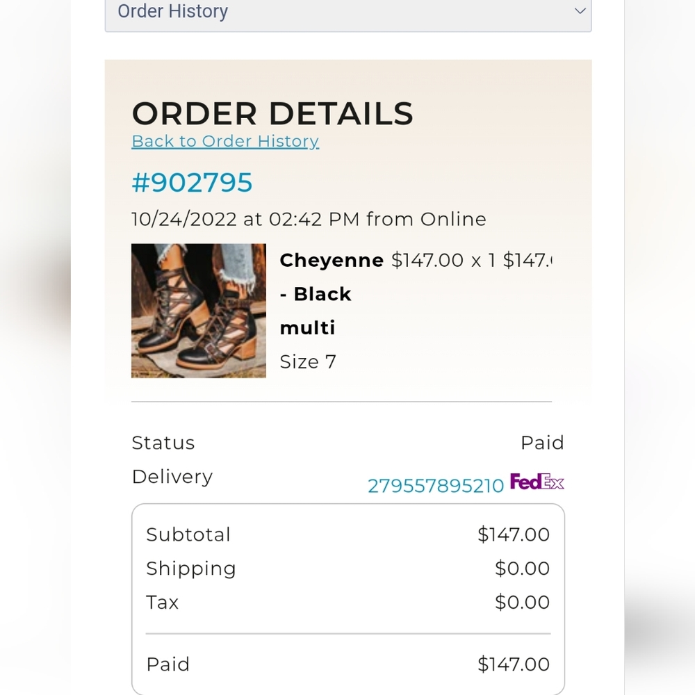 Freebird Cheyenne Black Multi